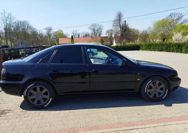 audi a4 mazowieckie Audi A4 cena 6200 przebieg: 308000, rok produkcji 1996 z Ciechanów